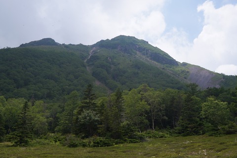 DSC02315