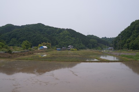 DSC07501