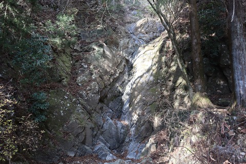 IMG_8913 - コピー