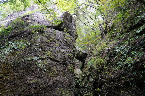 DSC08007