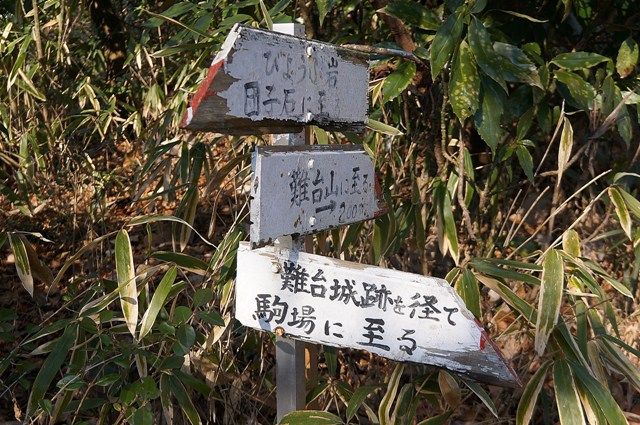 イメージ 14