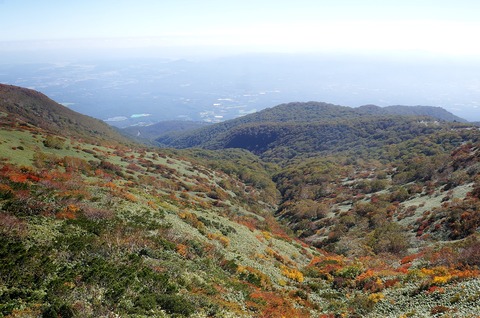 DSC08031