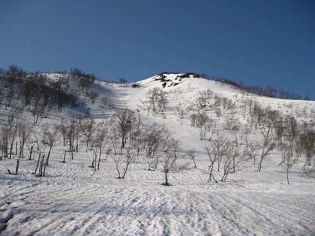 イメージ 4