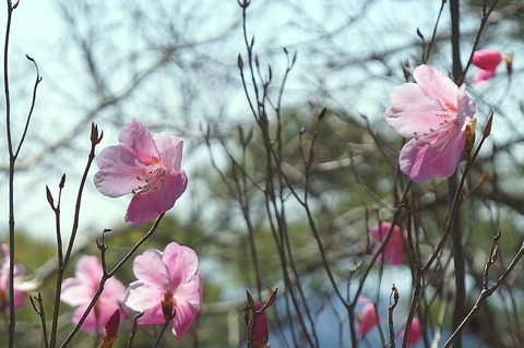 DSC06972