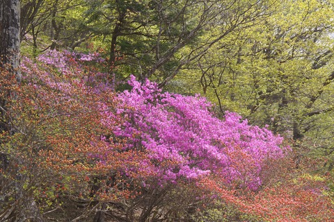 DSC01290