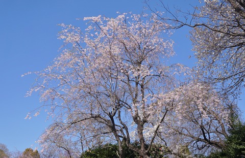 DSC06910