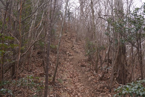 DSC00313