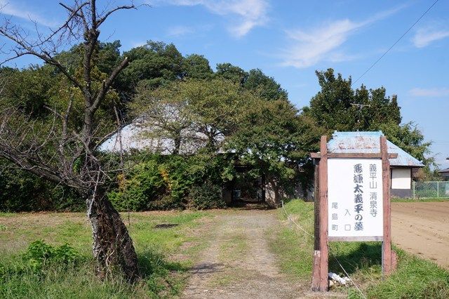 イメージ 17