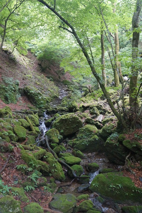 DSC02091