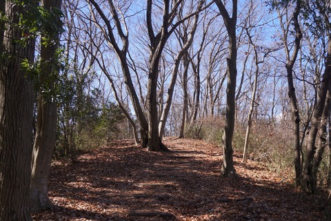 DSC09674