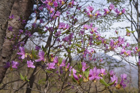 DSC01201