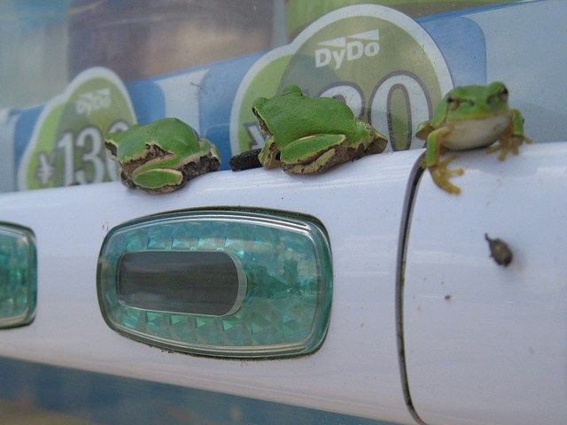 イメージ 8