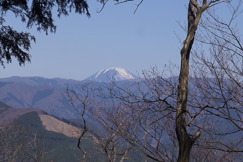 DSC06942
