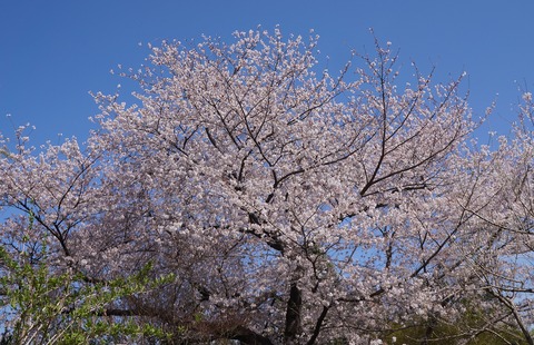 DSC06902