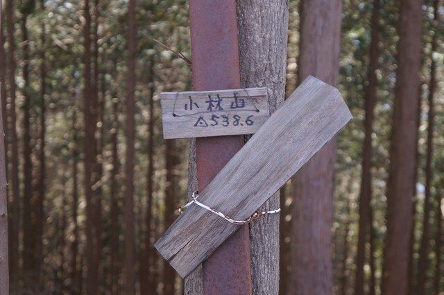 イメージ 11