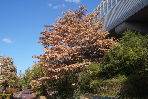 DSC02325