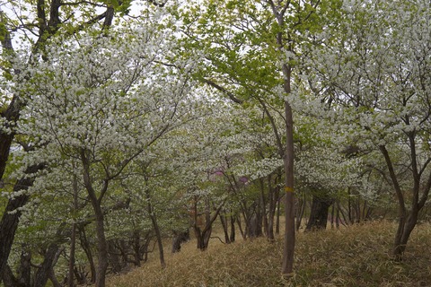 DSC01580