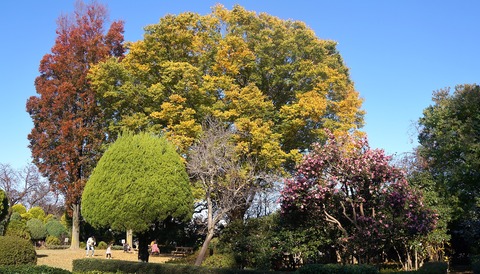 DSC02385
