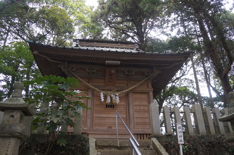 DSC00646