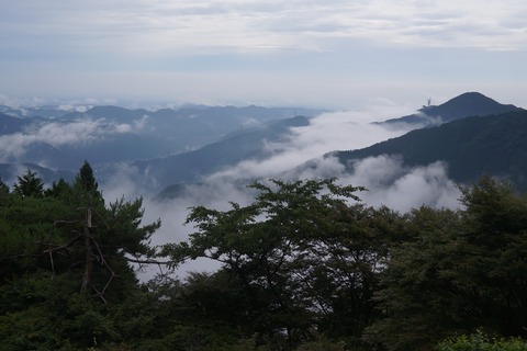 DSC02071