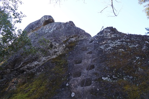 DSC09617