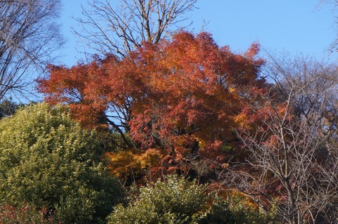 DSC09057