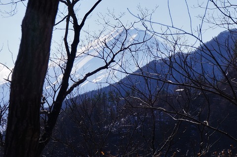 DSC09875