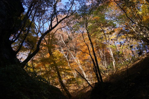 DSC08435