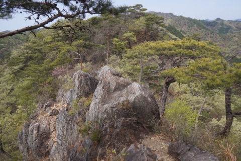 DSC01004