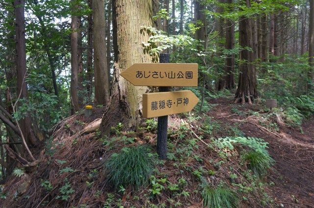 イメージ 13