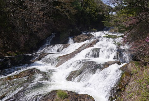 DSC01809
