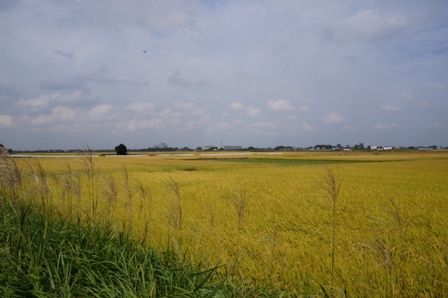 イメージ 17