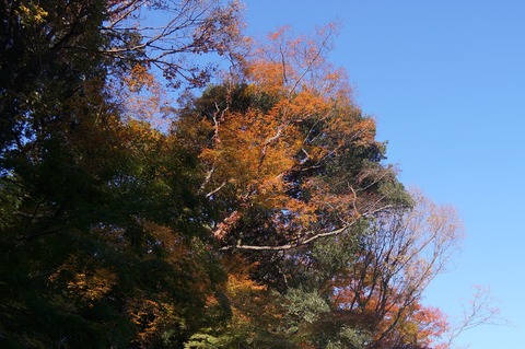 DSC05021