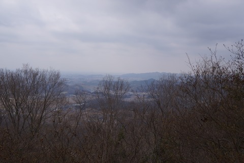DSC00318