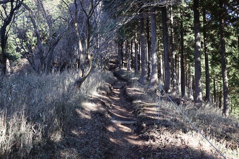 IMG_8879 - コピー