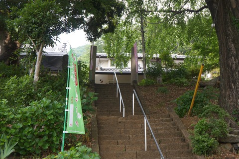 DSC07483