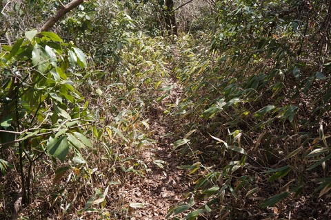 DSC00196