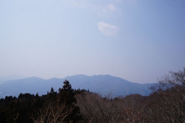 イメージ 12