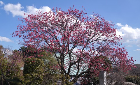 DSC06407