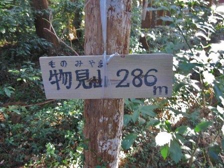 イメージ 11