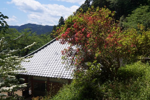 DSC07385