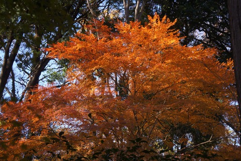 DSC09079