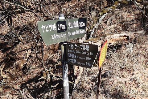 IMG_8893 - コピー