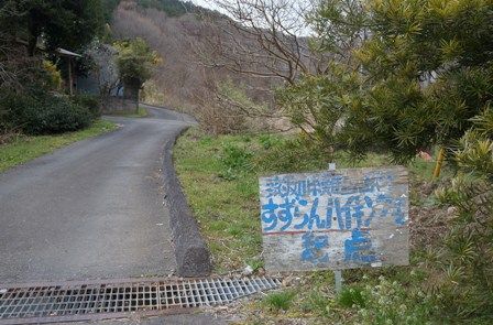 イメージ 5