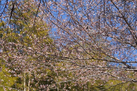 DSC03401