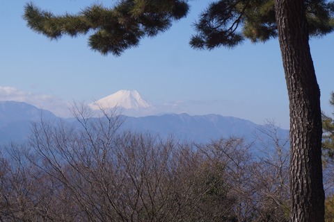DSC09713
