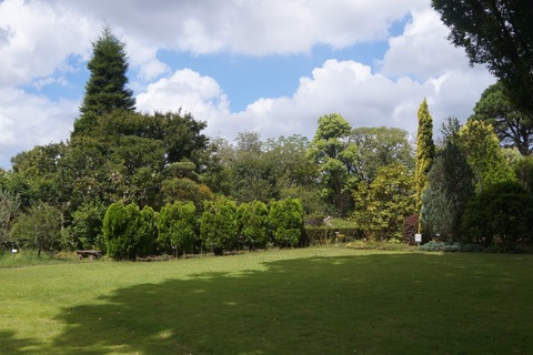 DSC02366