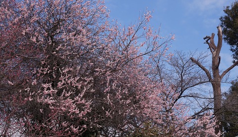 DSC06167