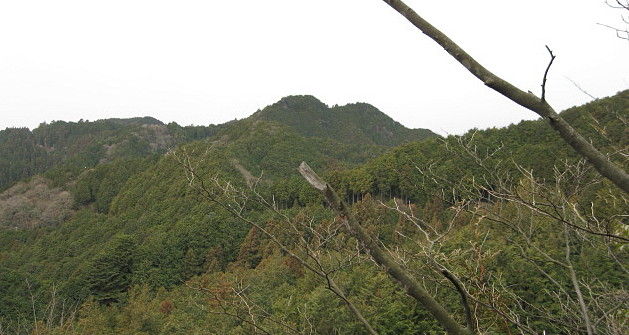 イメージ 9