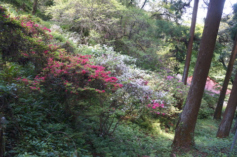 DSC07405